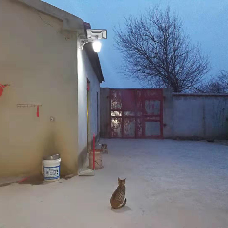 ڹʽ